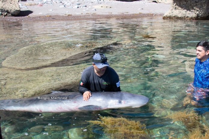 D3C69685-4C2C-48FB-9EEE-849C4BAC37CA