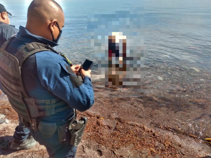 a62aeaa6-d3b9-42ad-8cd5-0170434e325c