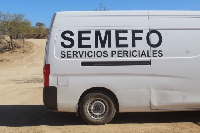 c690b6dc-0084-48e9-856b-53fb4cd5c70e