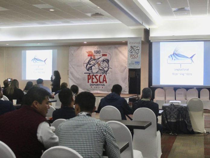 Proyecto nuevo - 2023-02-22T153636.322