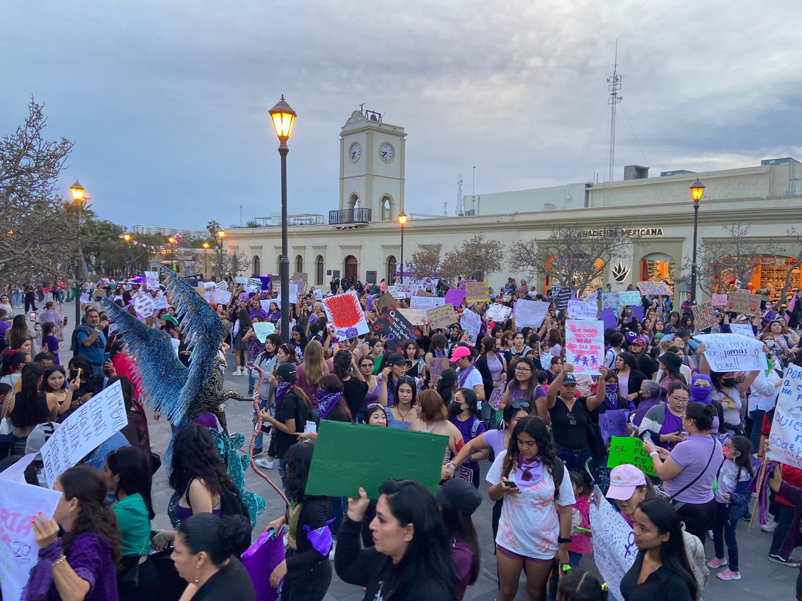Históricas: alrededor de 500 mujeres salieron a las calles de Los Cabos ...