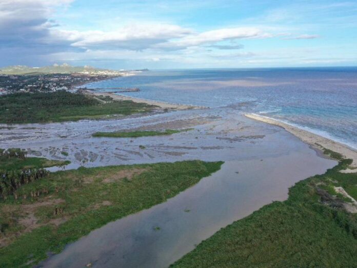 Proyecto nuevo - 2023-10-23T170309.747