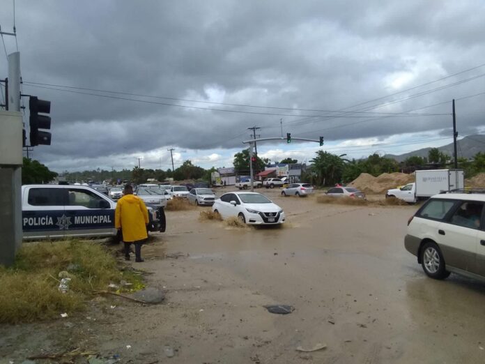 cd713758-8ce0-421d-be8a-a93ad433997a