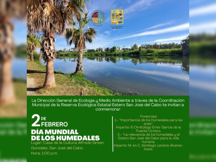 Proyecto nuevo - 2024-01-31T163847.757