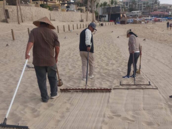 Proyecto nuevo - 2024-03-26T145450.556