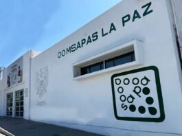 SAPA investiga contratos con empresas relacionadas con la delincuencia organizada