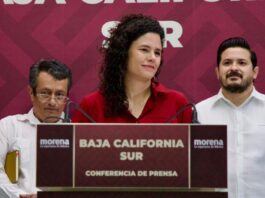 Nos gustaría mantener la alianza con PT y PVEM, pero aún no se define: Luisa María Alcalde