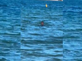 Policía usa dron para detener a hombre que alteraba el orden en playa El Manglito