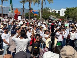 BCS se unió al Movimiento Nacional del Sombrero; cientos marchan en las calles