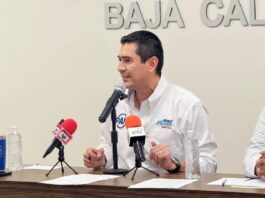 PAN responsabiliza violencia en Loreto y BCS a recortes federales y exige acciones inmediatas no discursos