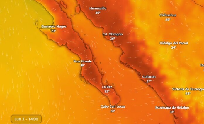 c32f90aa-8409-47d1-99e6-7c031469ae11