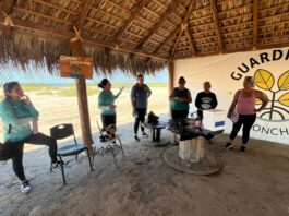 UABCS dona 50 mil semillas de ostión a “Guardianas de El Conchalito” para impulsar la acuicultura social en La Paz