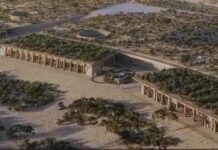 Sale a la luz proyecto que se “cocinaba” en Sierra La Laguna: aseguran conservación, pero surgen dudas sobre fundación que la encabeza