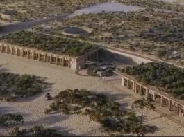 Sale a la luz proyecto que se “cocinaba” en Sierra La Laguna: aseguran conservación, pero surgen dudas sobre fundación que la encabeza