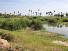 Estero Josefino requiere de más de 200 mdp para su regeneración en los próximos años