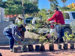 Entregan primera etapa de apoyos a preparatoria Moctezuma Ilhuicamina en Cabo San Lucas