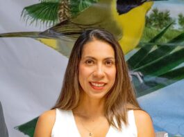 Los Cabos se prepara para conquistar FITUR 2026 y proyectarse ante el turismo mundial