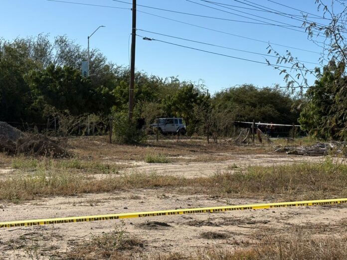 15551fb8-4944-4495-8571-12da0c7a220c