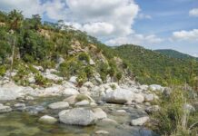 Freciudav exige a Semarnat informar todos los trámites ligados a “Santuario del Tío Checo” y predios en la Sierra La Laguna