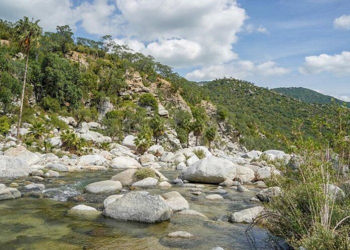 43a71835-6453-47fe-8c1d-8bc414c59034