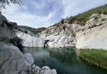 Consejo Asesor exige transparencia total sobre proyectos en la Sierra La Laguna