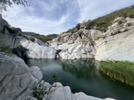 Consejo Asesor exige transparencia total sobre proyectos en la Sierra La Laguna