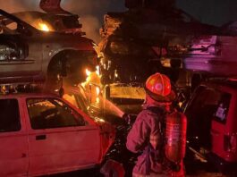 Infierno en la madrugada: voraz incendio devora yonke con más de 70 vehículos en CSL