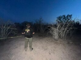 Localizan cuerpo semi enterrado en zona rural de Comondú; investigan posible fosa clandestina