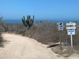 Aprueba Cabildo de Los Cabos Plan Maestro de “Punta Nayu” y garantiza acceso a playa San Cristóbal