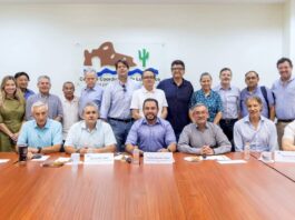 Empresarios de Los Cabos piden reforzar seguridad, limpieza y videovigilancia al gobierno municipal