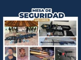 Tras hechos violentos en SJC, en operativos capturan a dos sicarios con armas y hasta un tigre