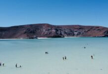 A días de las vacaciones, declaran aptas para uso recreativo las 39 playas monitoreadas de BCS