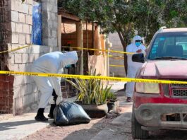 Confirma alcalde de Comondú envenenamiento y muerte de una decena de perros