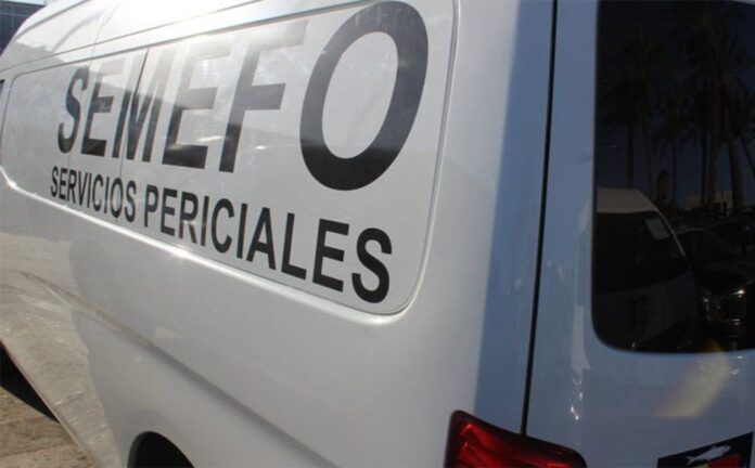 1a07e049-f566-41f3-921e-06572d7aa156
