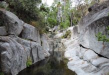 Semarnat realizará reunión pública por el nuevo proyecto de Hermandad en Armonía en Sierra La Laguna