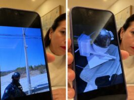 “Baja California Sur no se hereda”: Milena denuncia intimidación y espionaje personal; y lanza mensaje a sus adversarios