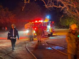 Tras dos años sin incendios, provocan fuego en el Estero de San José del Cabo