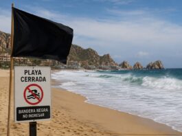 Cierran playas de Los Cabos por alto oleaje; colocan bandera negra