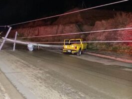 Choca contra poste y lo derriba en el Tamaral; cierran vialidad en ambos sentidos
